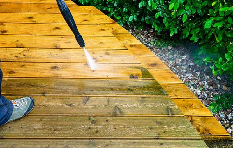 Spotting the Early Signs of Growth