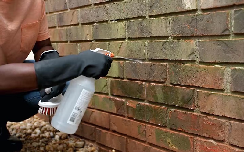 Check what type of mortar you’re working with