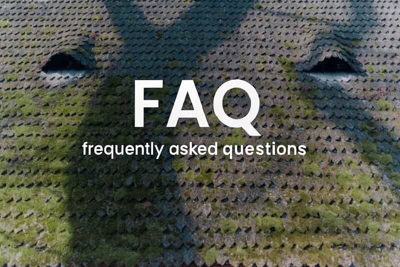 Common questions about roof moss removal