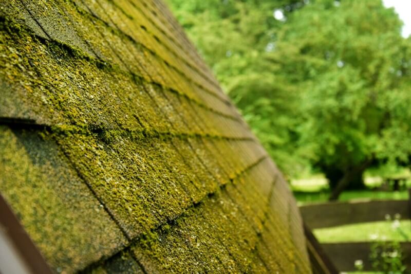 How to prevent moss growth on your roof