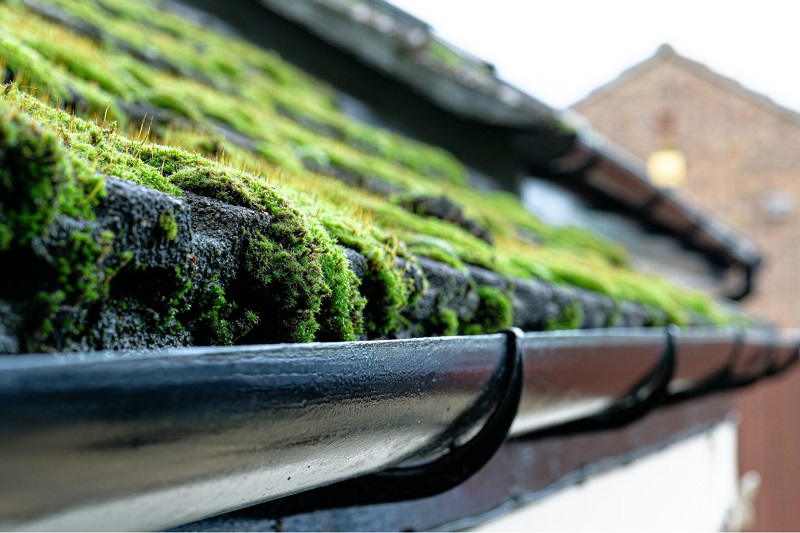 Things you should never do when removing moss from your roof
