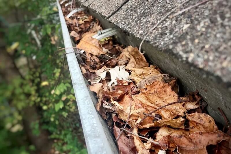 Before you start Essential tips for cleaning your gutters from the ground