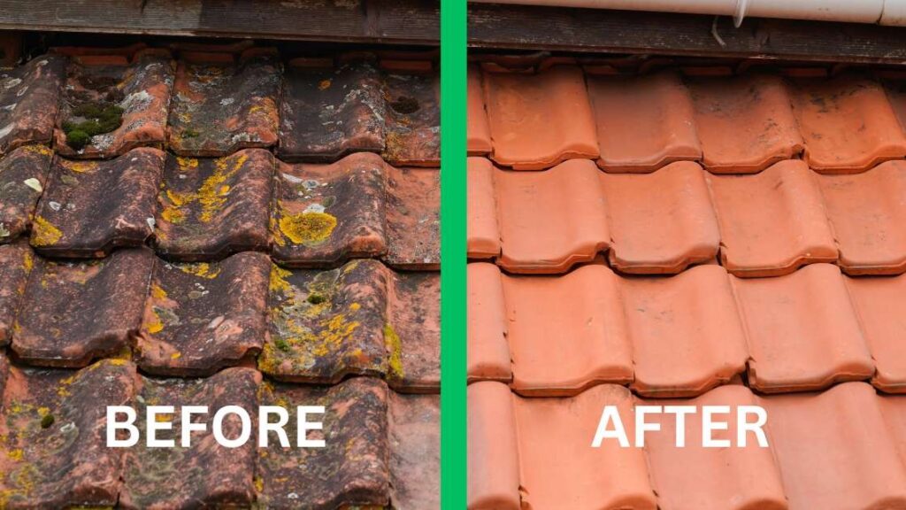 How do you clean roof tiles (Step-by-step guide)