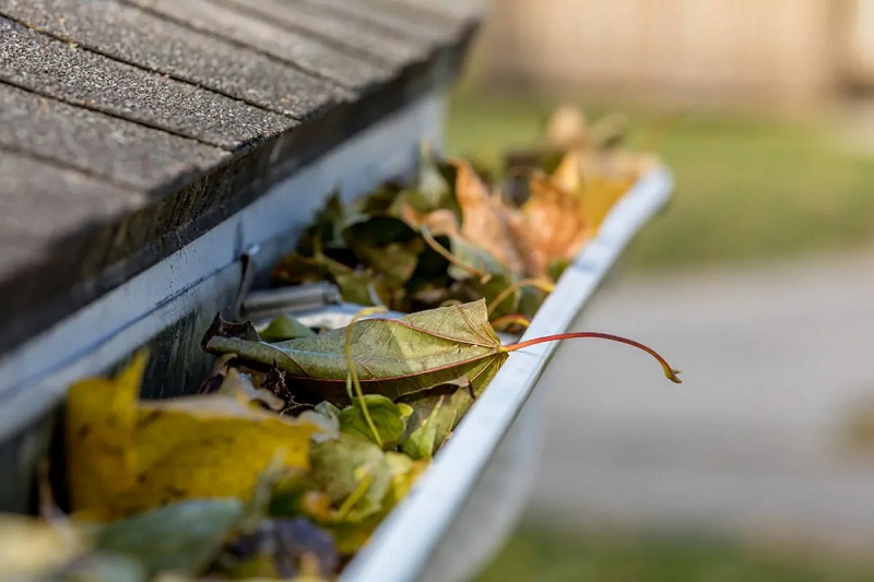 How to Clean Gutters from the Ground Without a Ladder