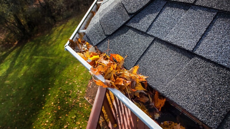 Simple steps to prevent gutter blockages