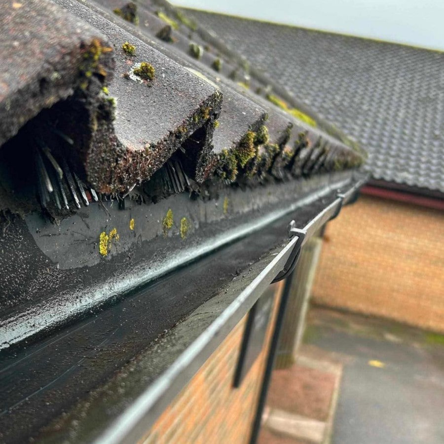 Gutter cleaning on a commercial property