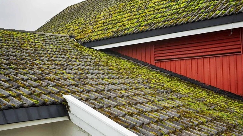 Common mistakes to avoid when removing roof moss
