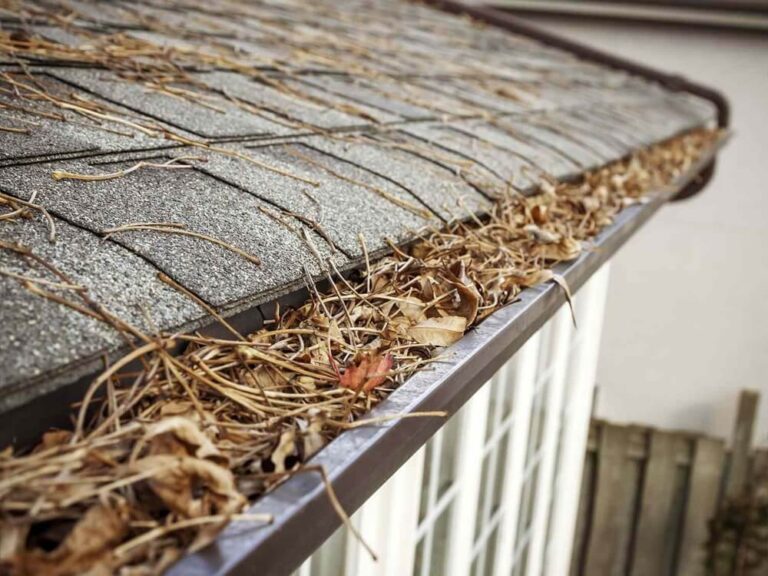 How Often Should Gutters Be Cleaned