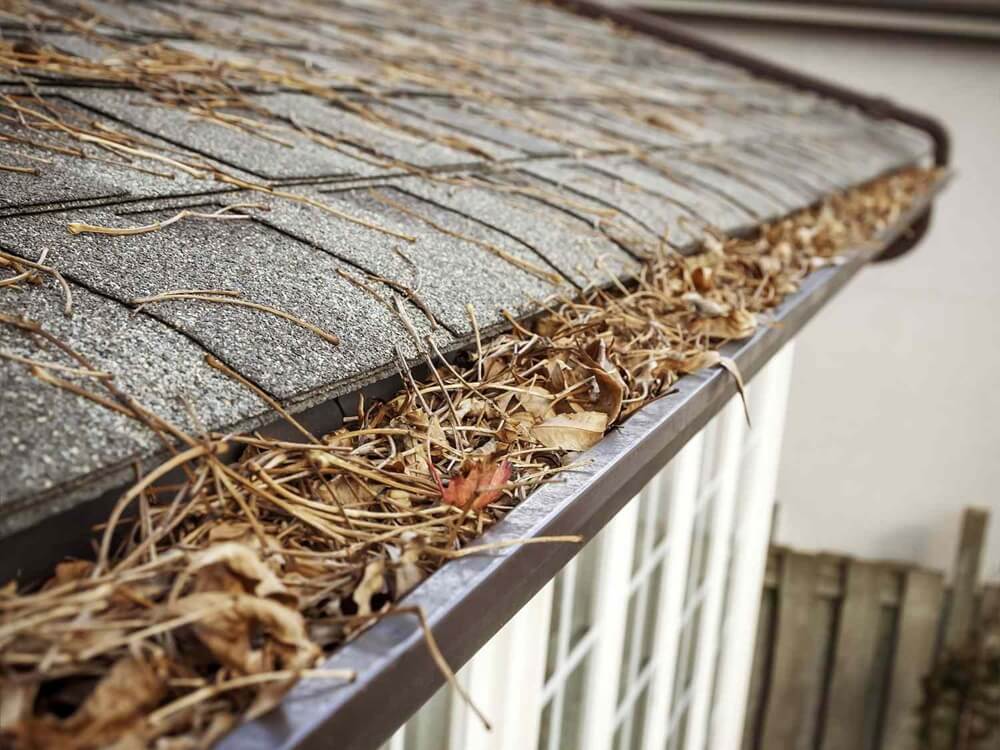 How Often Should Gutters Be Cleaned