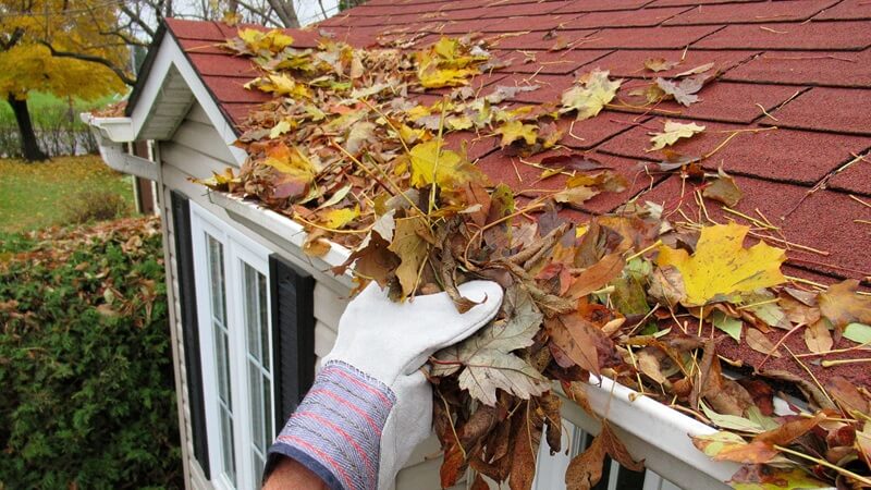 The best time of year to clean your gutters