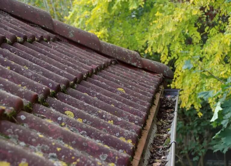 What factors affect how often gutters need cleaning