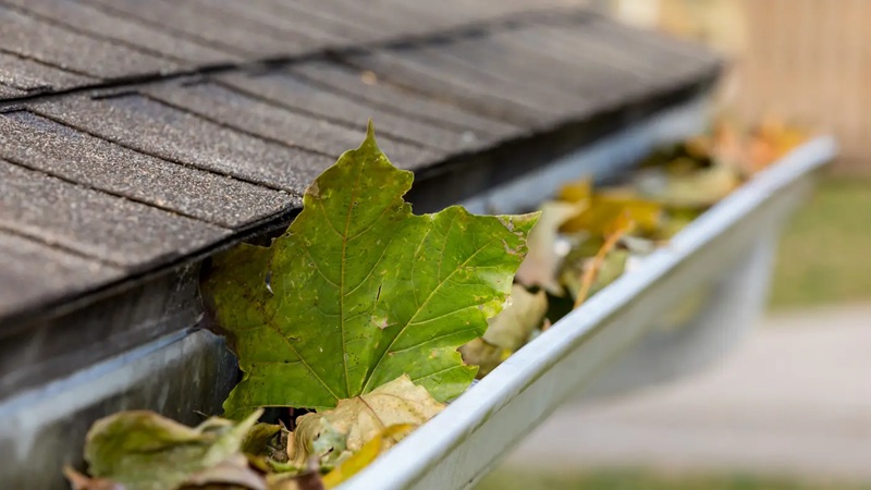 What happens if gutters are not cleaned regularly