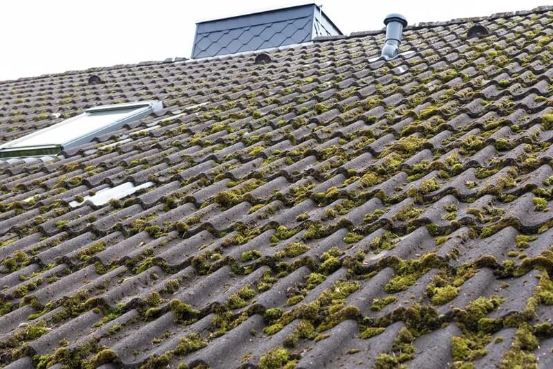 What is the best way to remove moss from a roof
