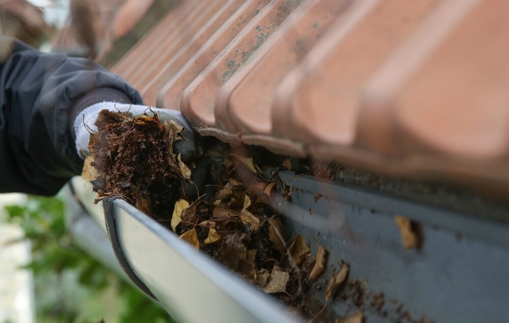 Cleaning,The,Gutter,From,Autumn,Leaves,Before,Winter,Season.,Roof
