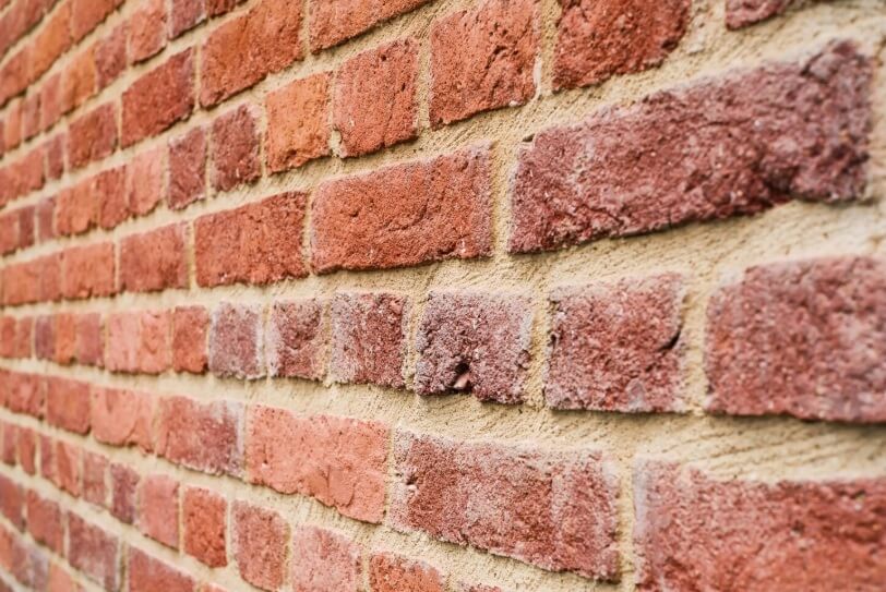 Environmental factors to consider